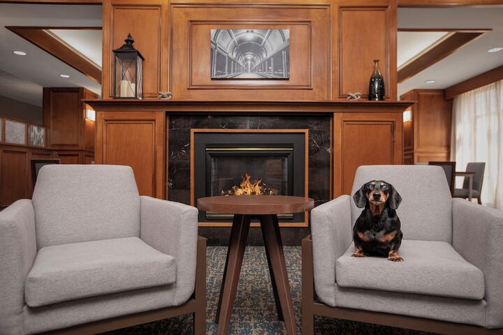 Pet Friendly 43 of 55