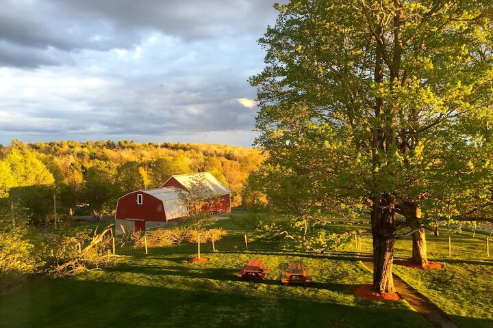 Property Grounds 145 of 191