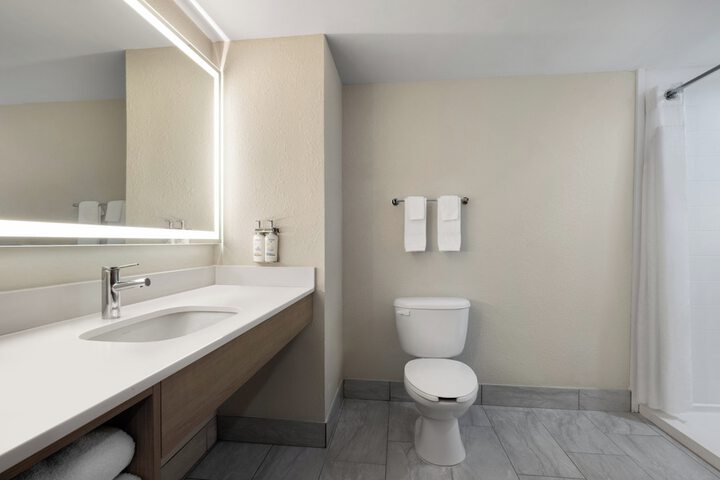 1 King Bed Standard Mobility Accessible Tub (15 of 15)