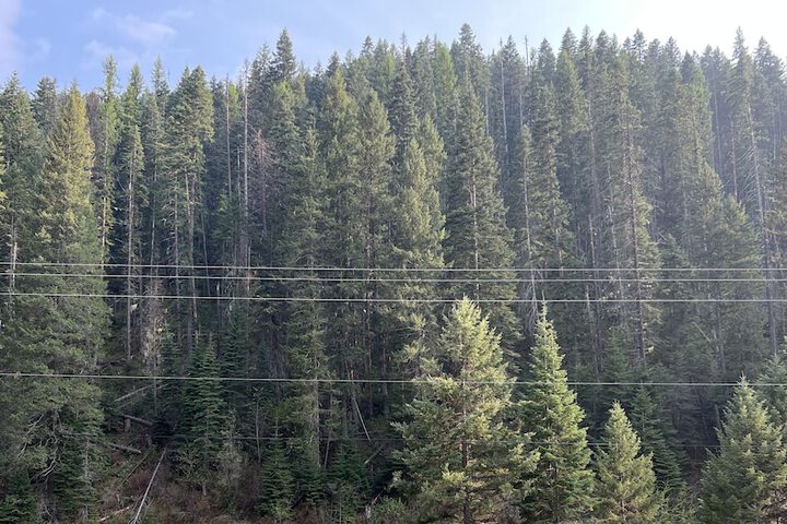 Hotel View 117 of 117