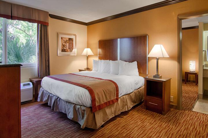 Accessible Suite 1 King Bed Accessible Bathtub Living Area Micro Refriger Continental Breakfast (2 of 5)