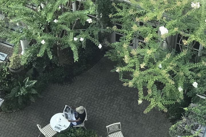 View from property