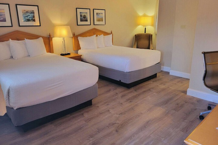 2 Double Beds (3 of 14)