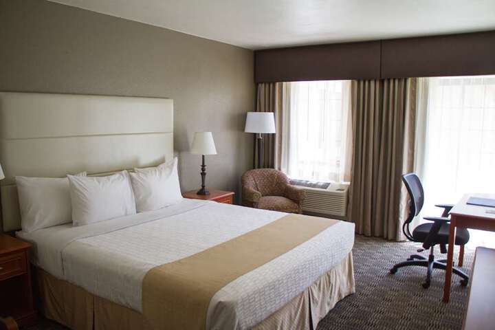 Queen Bed
