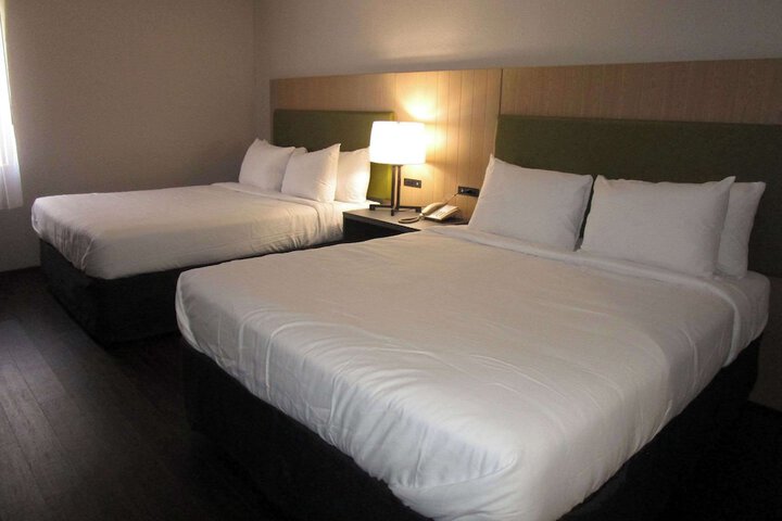 2 Queen Beds (9 of 13)