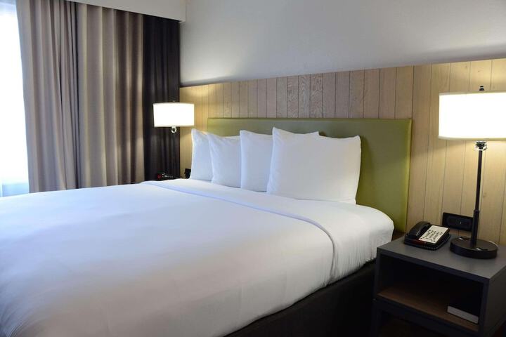 1 King Bed (15 of 17)