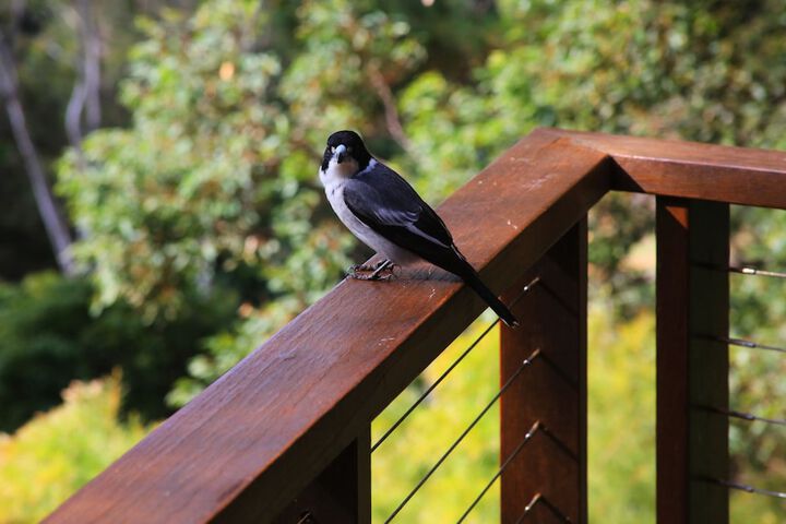 Terrace/Patio 35 of 44