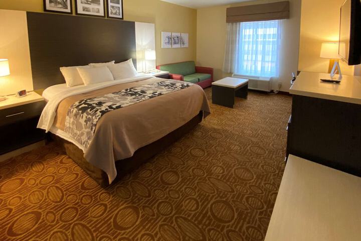 1 King Bed (3 of 5)