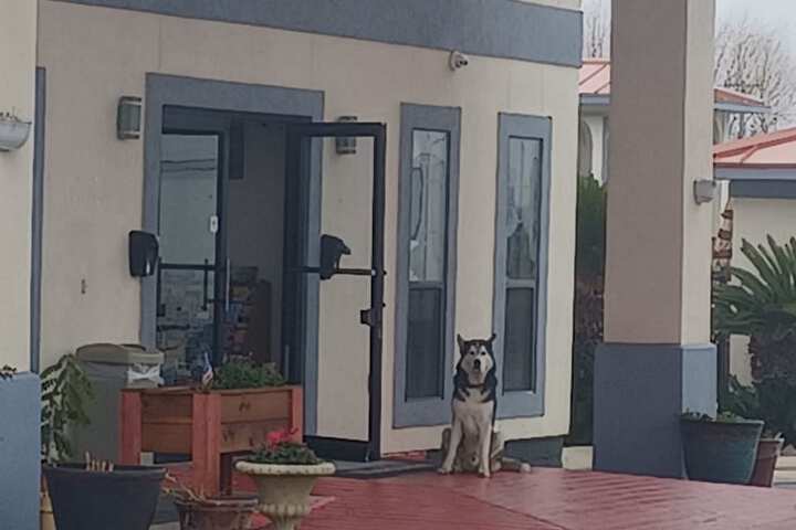 Property entrance