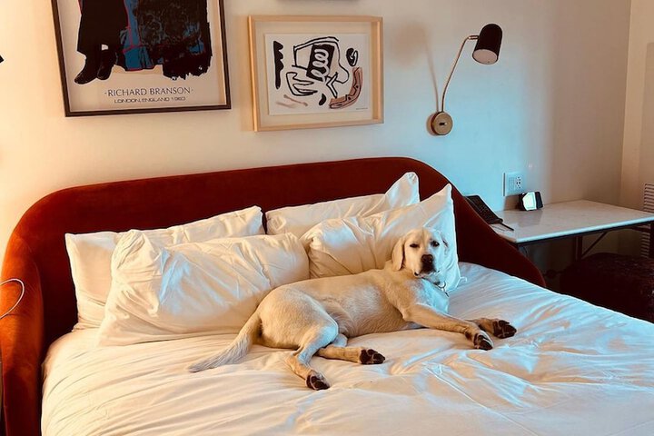 Pet-friendly