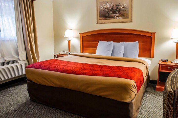 1 King Bed (5 of 13)