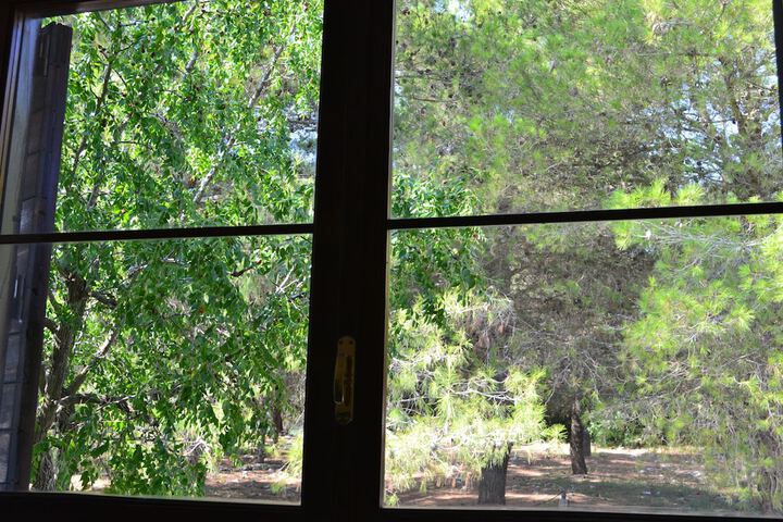 Room 26 of 81