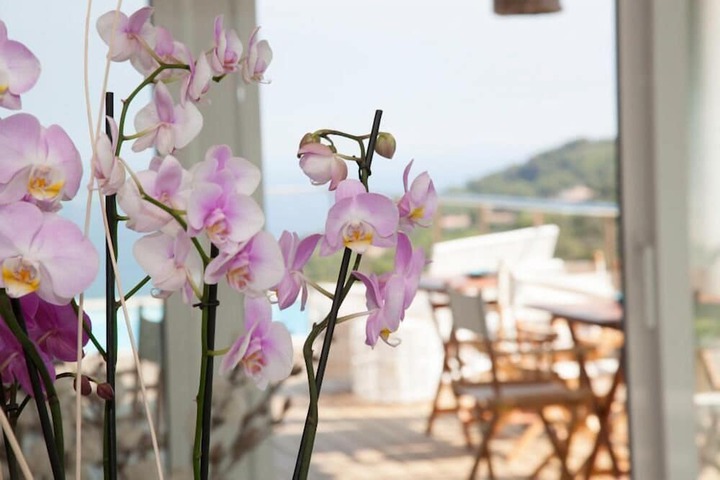 Property Grounds 50 of 58