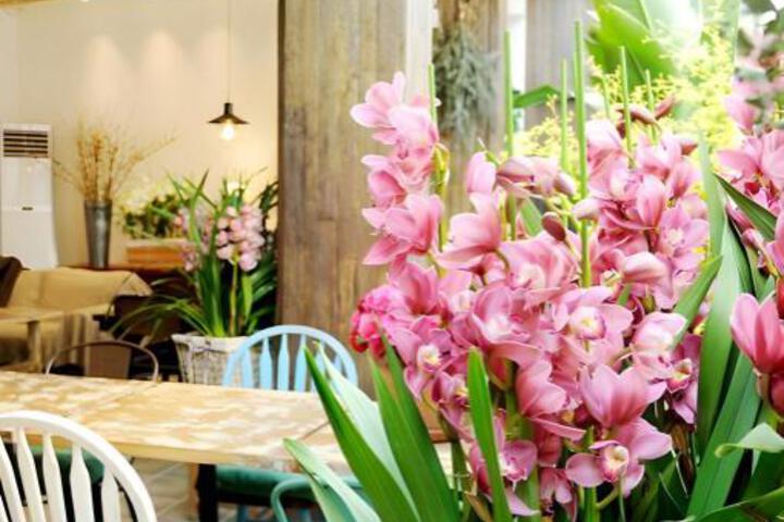 Spa and Wellness Pictures