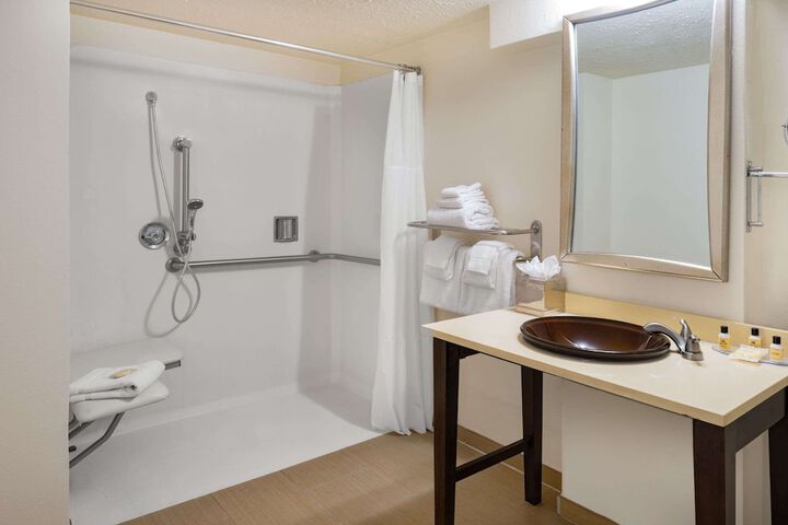 1 Double Bed Mobility Accessible Bathtub with Grab Bars (3 of 14)