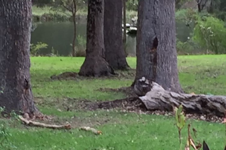 Hotel Exterior 54 of 62