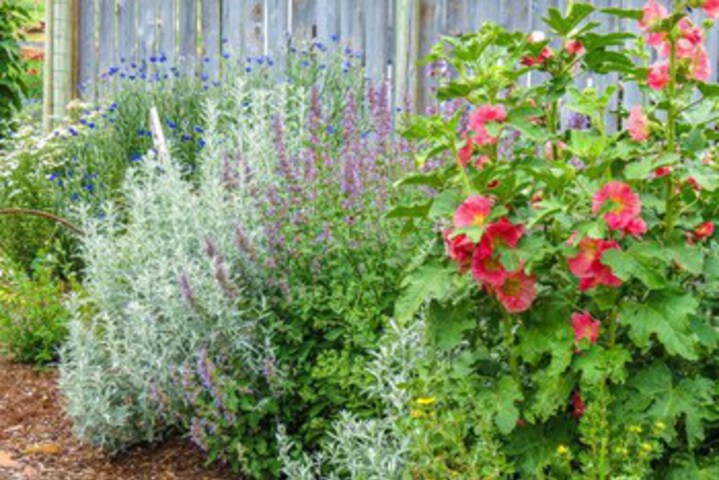 Hotel Exterior 7 of 25