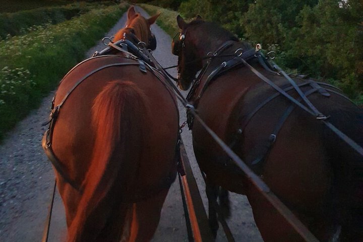 Game drive