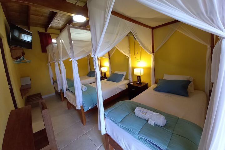 Room 15 of 54