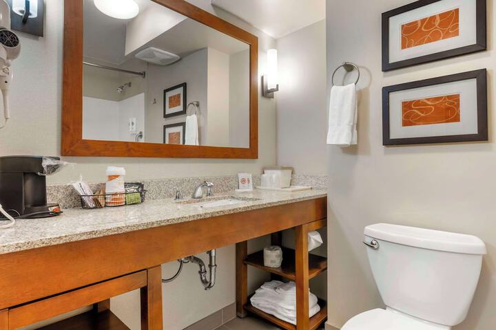 1 King Bed Suite (14 of 16)