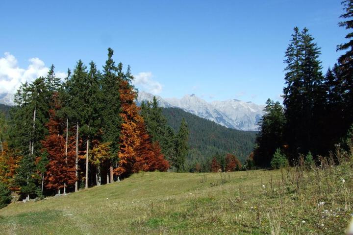 Photo 30