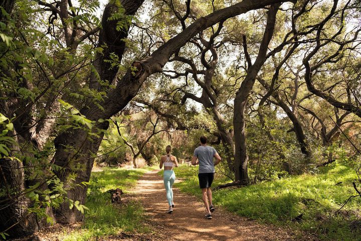 Hiking