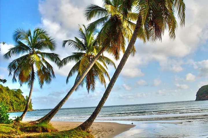 Beach 64 of 83