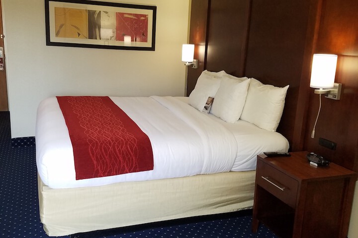 1 King Bed (2 of 15)