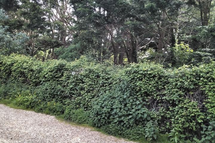 Property Grounds 18 of 27