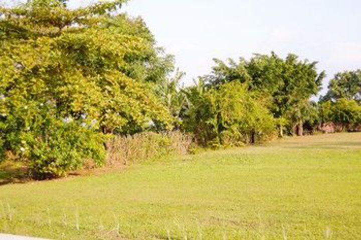 Property Grounds 23 of 25