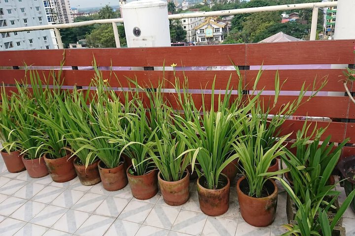 Terrace/Patio 51 of 54