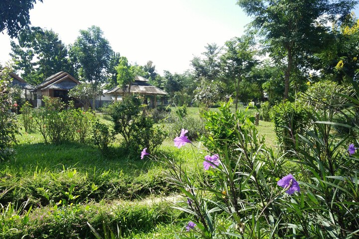 Property Grounds 18 of 23