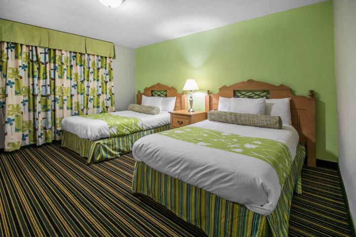 Suite King Bed Pet Friendly (15 of 21)