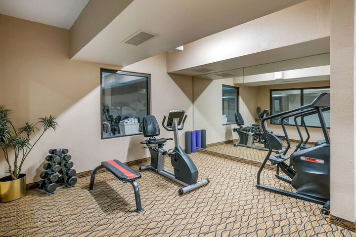 Gym & Fitness