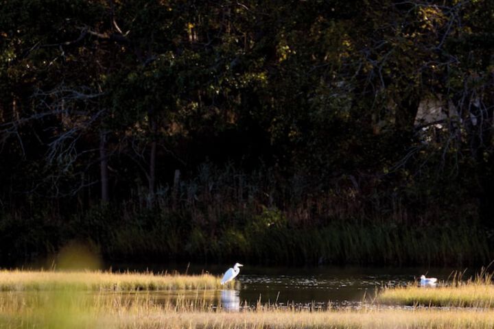 Hotel View 204 of 204