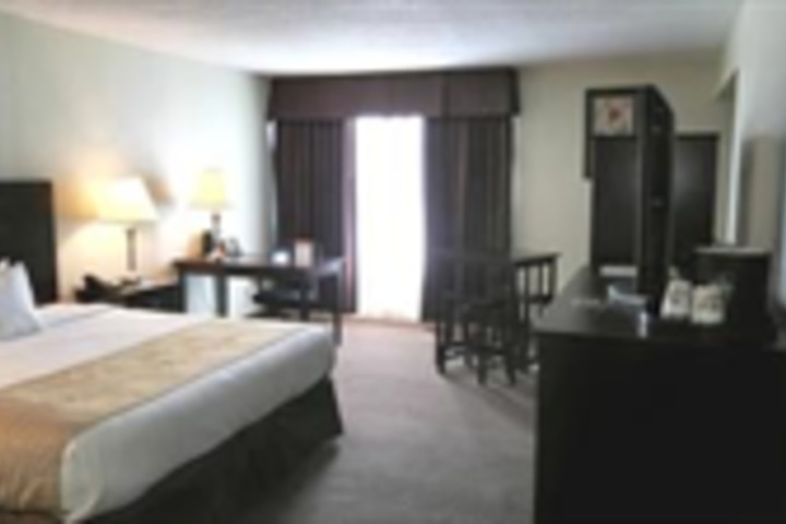 Photo 4
