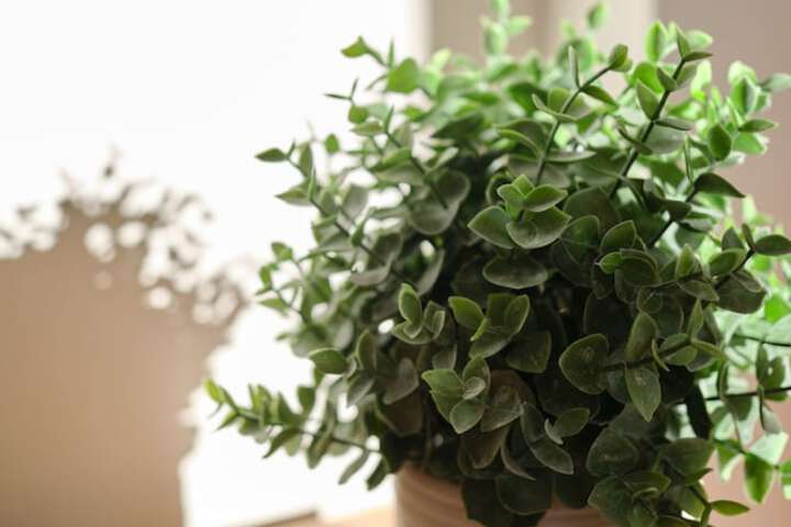 Ballroom/Hall 100 of 106