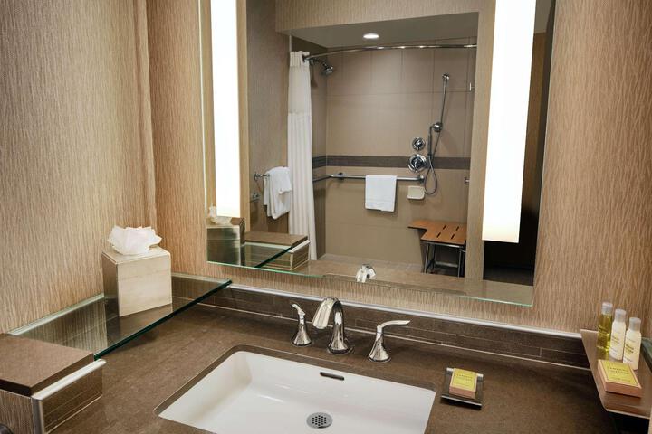 1 King Bed Mobility Accessible with Bathtub (16 of 32)