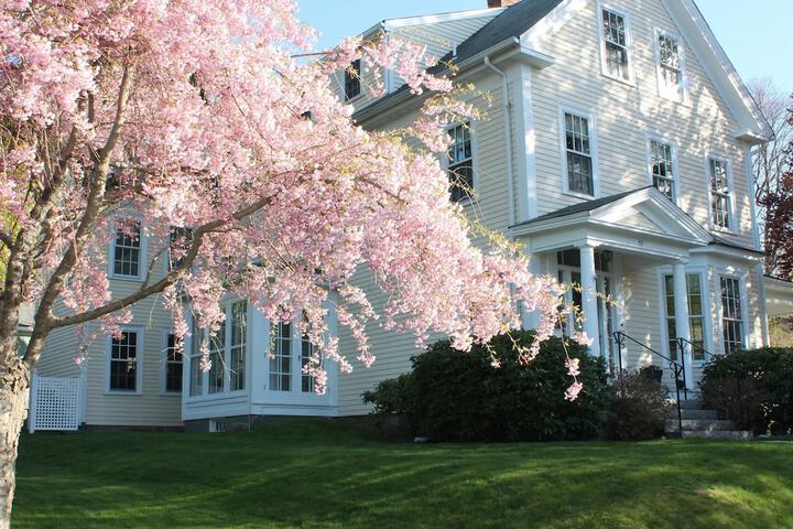 Beech Tree Bed and Breakfast