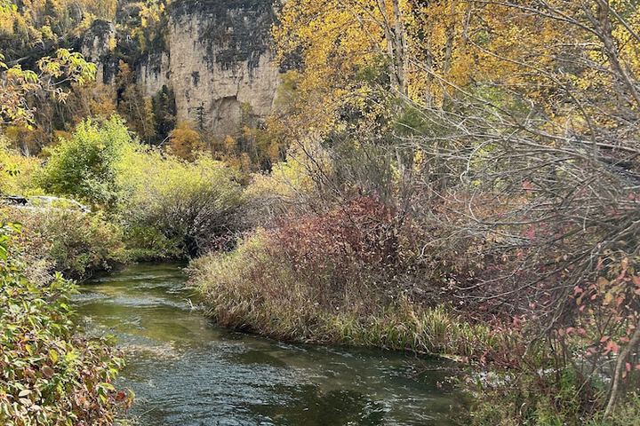 Outdoor Activities 123 of 172