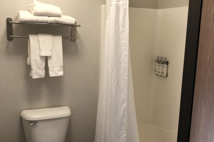 1 King Bed Standard Comm Accessible Tub (7 of 27)