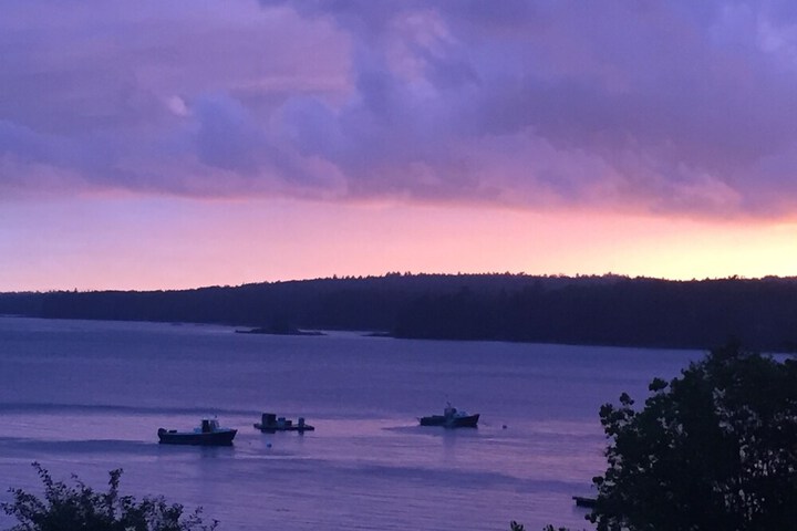 Property Grounds 41 of 53