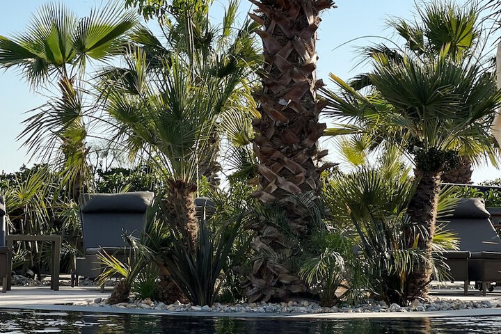 Pool 36 of 92