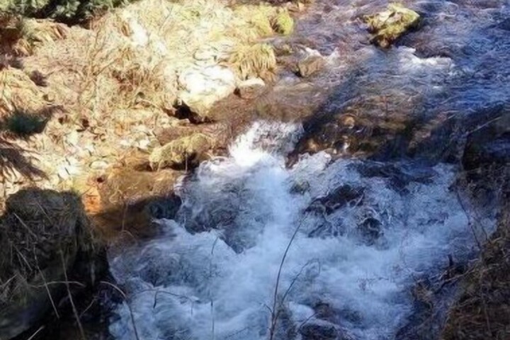 Property Grounds 28 of 30