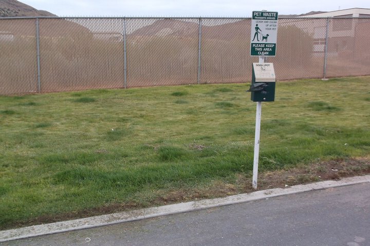 Pet-friendly