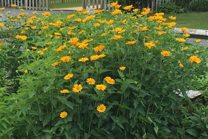 Hotel Exterior 33 of 37