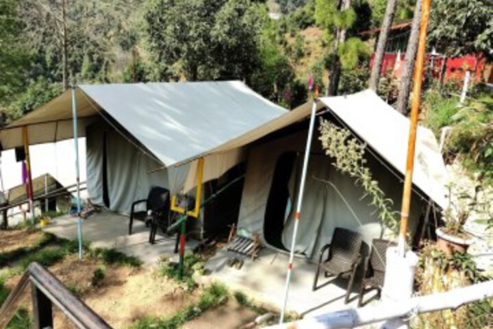 Camp Craft