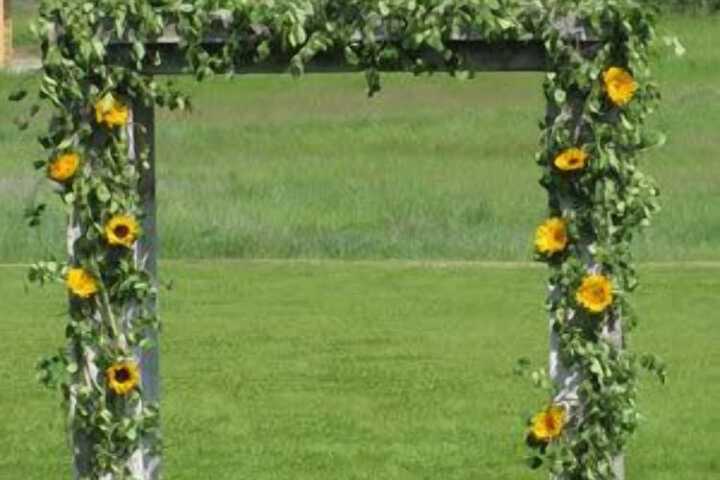 Wedding/Banquet 15 of 16