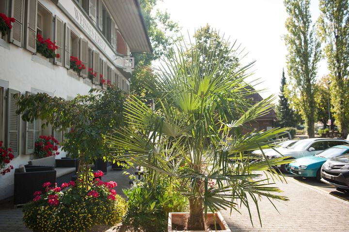 Hotel 65 of 67