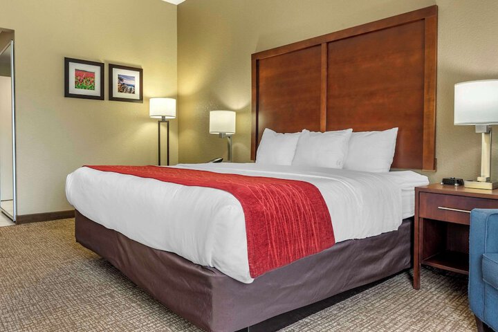 Standard King Bed Accessible (14 of 14)